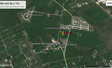 Terreno de 5,000 m2 en Venta, San Diego Cutz, Conkal, Yucatán