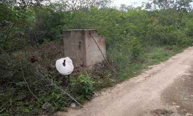 Terreno de 5,000 m2 en Venta, San Diego Cutz, Conkal, Yucatán