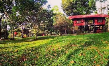 En Venta Terreno 100 Ha. Tena Junto Aeropuerto de Jumandy km 26