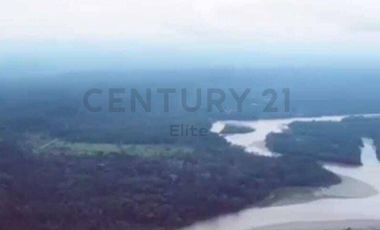 En Venta Terreno 100 Ha. Tena Junto Aeropuerto de Jumandy km 26