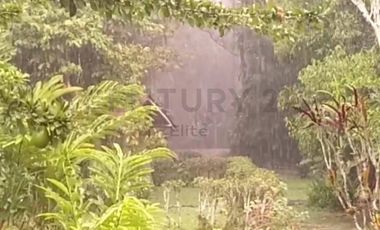 En Venta Terreno 100 Ha. Tena Junto Aeropuerto de Jumandy km 26