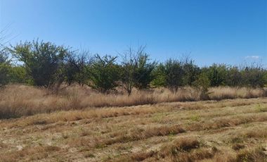 Parcela en Venta en Ruta K-55 Camino Las Rastras, sector Ranqumil