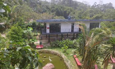 finca en venta en mesitas. Cod V4478