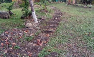 finca en venta en mesitas. Cod V4478