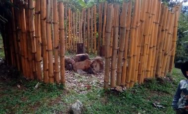 finca en venta en mesitas. Cod V4478