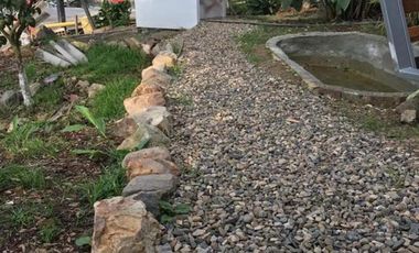 finca en venta en mesitas. Cod V4478