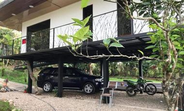 finca en venta en mesitas. Cod V4478