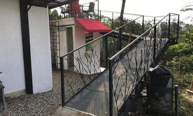 finca en venta en mesitas. Cod V4478