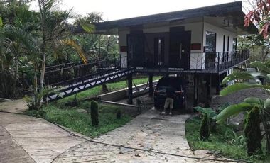 finca en venta en mesitas. Cod V4478