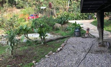 finca en venta en mesitas. Cod V4478