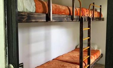 finca en venta en mesitas. Cod V4478