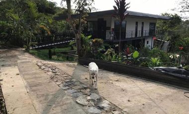 finca en venta en mesitas. Cod V4478