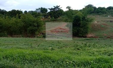 Residential Farm Lot for Sale in Manila East Lakeview Farms Morong Rizal, contact Donald @ 0955561---- or 0933825----