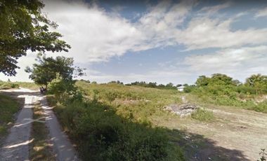 3.2 Hectare Industrial Lot for Sale in Tayud Consolacion