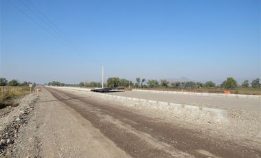 Agrícola en Venta en Terreno 17.000 mt Santa Cruz Agrícola o Inmobiliario