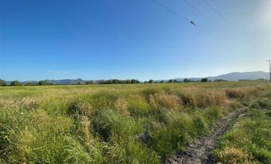 Agrícola en Venta en Terreno 17.000 mt Santa Cruz Agrícola o Inmobiliario