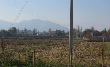 Agrícola en Venta en Terreno 17.000 mt Santa Cruz Agrícola o Inmobiliario