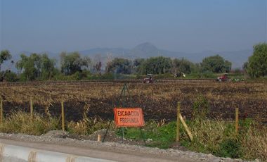 Agrícola en Venta en Terreno 17.000 mt Santa Cruz Agrícola o Inmobiliario