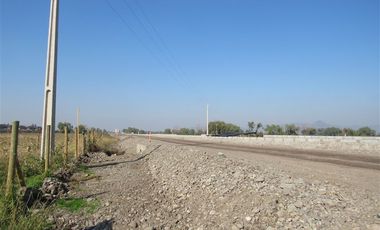 Agrícola en Venta en Terreno 17.000 mt Santa Cruz Agrícola o Inmobiliario