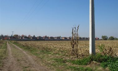Agrícola en Venta en Terreno 17.000 mt Santa Cruz Agrícola o Inmobiliario
