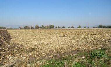 Agrícola en Venta en Terreno 17.000 mt Santa Cruz Agrícola o Inmobiliario