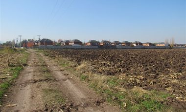 Agrícola en Venta en Terreno 17.000 mt Santa Cruz Agrícola o Inmobiliario