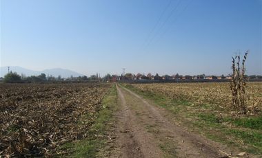 Agrícola en Venta en Terreno 17.000 mt Santa Cruz Agrícola o Inmobiliario
