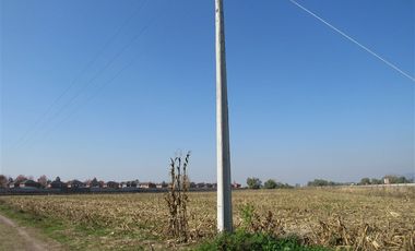 Agrícola en Venta en Terreno 17.000 mt Santa Cruz Agrícola o Inmobiliario
