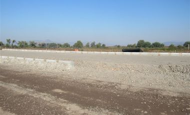 Agrícola en Venta en Terreno 17.000 mt Santa Cruz Agrícola o Inmobiliario
