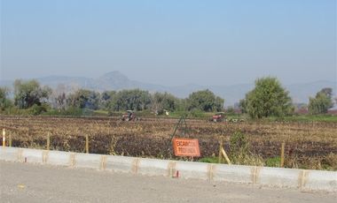 Agrícola en Venta en Terreno 17.000 mt Santa Cruz Agrícola o Inmobiliario