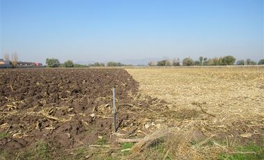 Agrícola en Venta en Terreno 17.000 mt Santa Cruz Agrícola o Inmobiliario