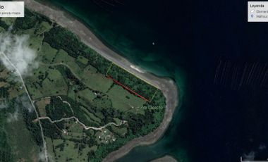 Se vende terreno de 5000 m2 con orilla de playa