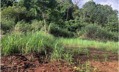 Se Vende Terreno de 9,144 m2 en Corozal, Ancón
