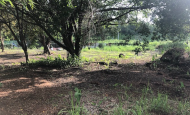 Se Vende Terreno de 9,144 m2 en Corozal, Ancón