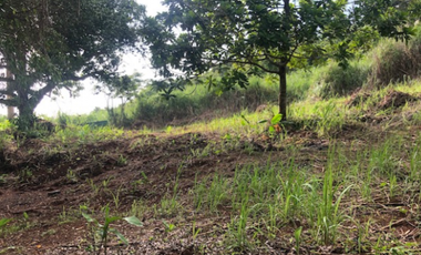 Se Vende Terreno de 9,144 m2 en Corozal, Ancón