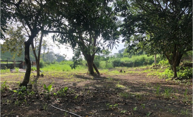 Se Vende Terreno de 9,144 m2 en Corozal, Ancón