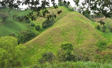 Se Vende Espectacular Finca en Carretera Vía Volcán, Chiriquí.