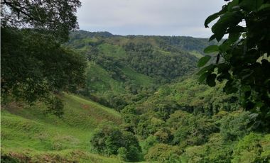 Se Vende Espectacular Finca en Carretera Vía Volcán, Chiriquí.