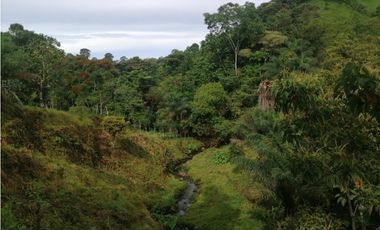 Se Vende Espectacular Finca en Carretera Vía Volcán, Chiriquí.