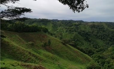 Se Vende Espectacular Finca en Carretera Vía Volcán, Chiriquí.