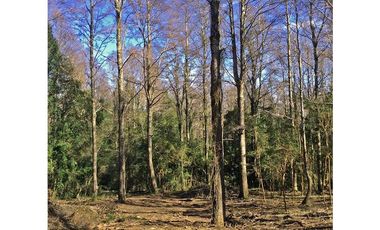 Hermosas Parcelas 5000m2 A Sólo 3,5km De Pucón