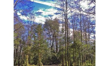 Hermosas Parcelas 5000m2 A Sólo 3,5km De Pucón