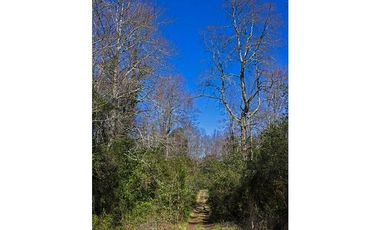 Hermosas Parcelas 5000m2 A Sólo 3,5km De Pucón