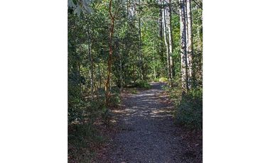 Hermosas Parcelas 5000m2 A Sólo 3,5km De Pucón