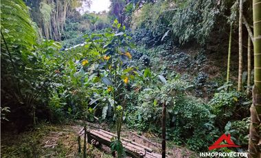 Espectacular casa a 2 min de Ulloa, Valle