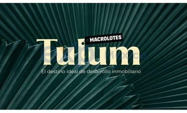 Terrenos Macrolote en venta en Tulum, Quintana Roo  Zona Holistika  para desarrolladores.