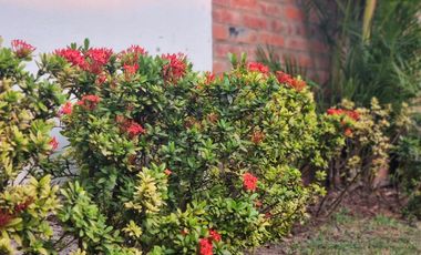 casa en venta en boconó. Cod V2789