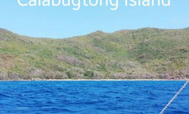 Land For Sale in Calabugtong Island, Casian, Palawan
