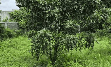 Tanah  Luas 2592m2 SHM Di Bintara Bekasi Barat Bebas Banjir