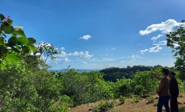Affordable Residential Lot for Sale in Pililia Rizal